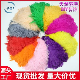 羽毛、羽绒;猫猫玩具;其他纺织辅料