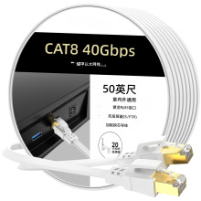 �羳���پW���p������|��僽�RJ45�B�Ӿ��҃���ͨ��CAT8W�j��