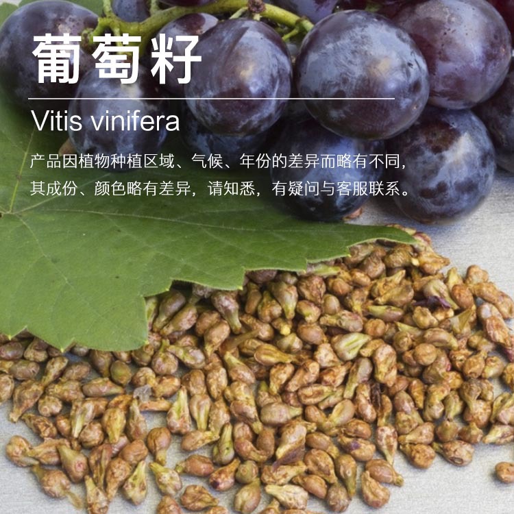 ���ҹ�Ӧ�������� ��ե�����ͻ�ױƷԭ������ ������� ��ӭ�ɹ�