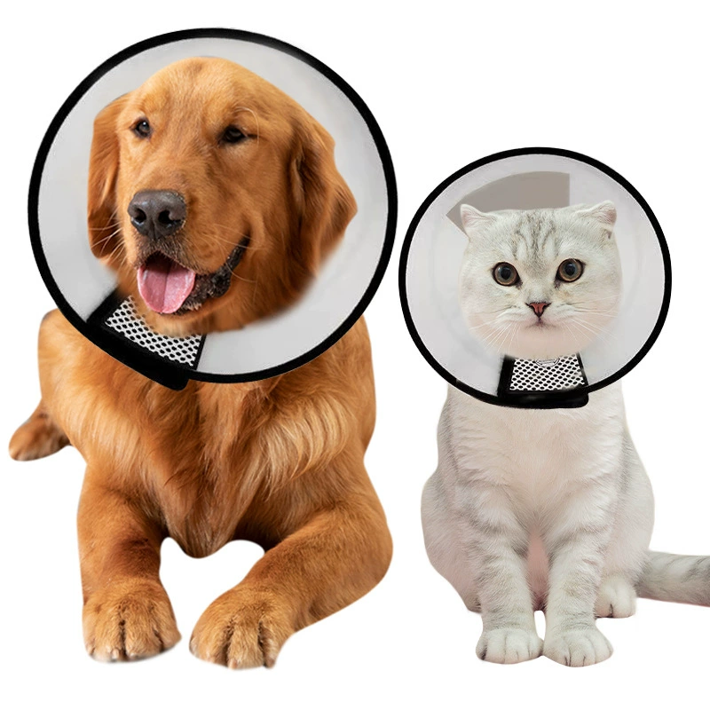 Elizabeth Circle Кошачья Шея анти-облизывание анти-укуса собачьей шеей Регулируемый водонепроницаемый кошачий нагрудник для домашних животных оптовая продажа