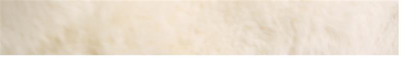 German Carpet 2024 New Bedroom Cream Style Bubble Velvet Thickeneded Pure Color Bedside Blanket Living Room Large Area Floor Mat