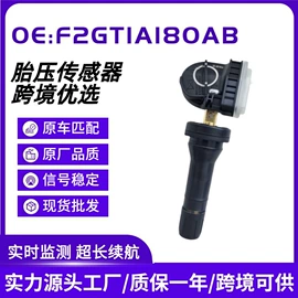 胎压监测系统;气门嘴;诊断仪