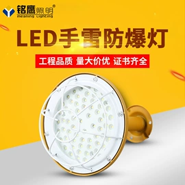 工矿灯;投光灯;防爆灯