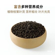 �������������絪��⛏ͺϷ����߲˻��ʻ��ʈ@ˇ���@��ˮ��������