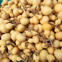 ��Ȼ���JС�����������J�������С���J���J��ˇƷ���l