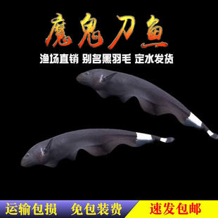 ħ�����~��ħ����ë�~�Ꭷ�~�^�p�~�����~��ˮ�^�p�~С�~����