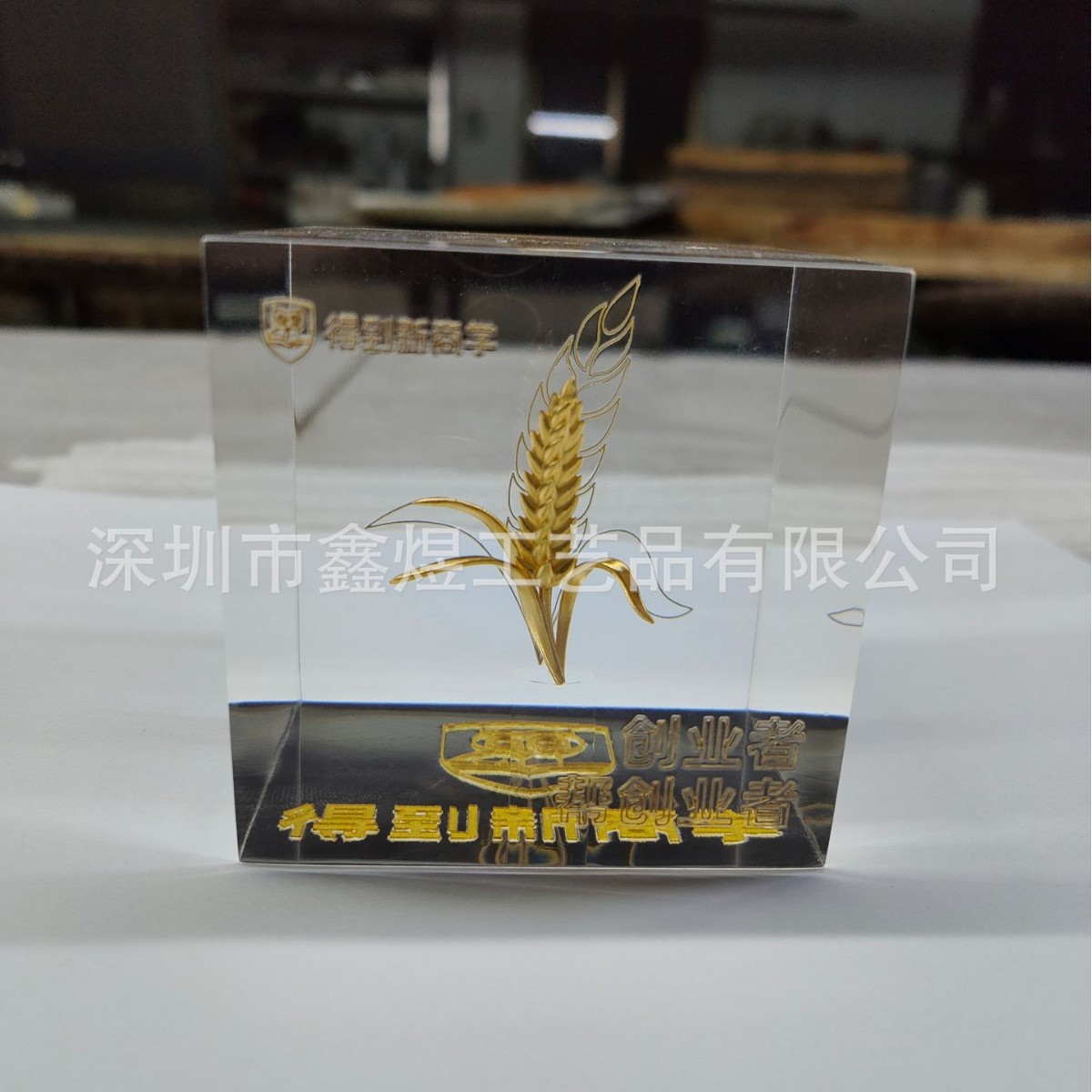 2025-03-12 15:51:46.jpg