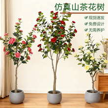 �羳���ƴ��ͷ���Gֲɽ�軨��Ҿӿ͏d����bٻ�ֲ�����Ԕ[��