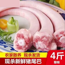4斤新鲜猪尾巴长尾巴短尾巴整根农家散养土猪肉带皮