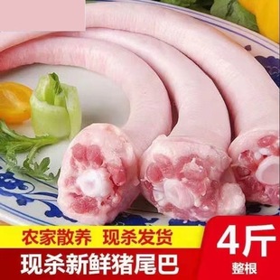 4�����r�iβ���Lβ�Ͷ�β�������r��ɢ�B���i�⎧Ƥ