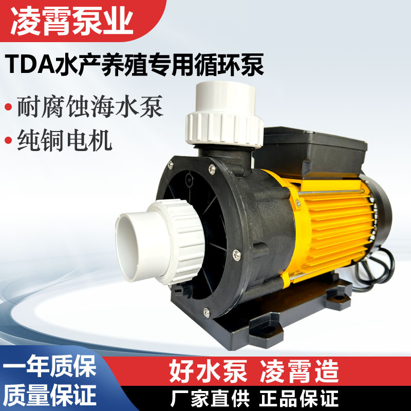 广东凌霄水泵TDA100海水泵养鱼泵塑料耐腐蚀泵泳池SPA循环泵
