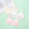 Skin + white + powder (3 packs)