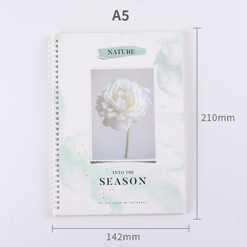 Libro de hojas sueltas fresco y fresco al por mayor