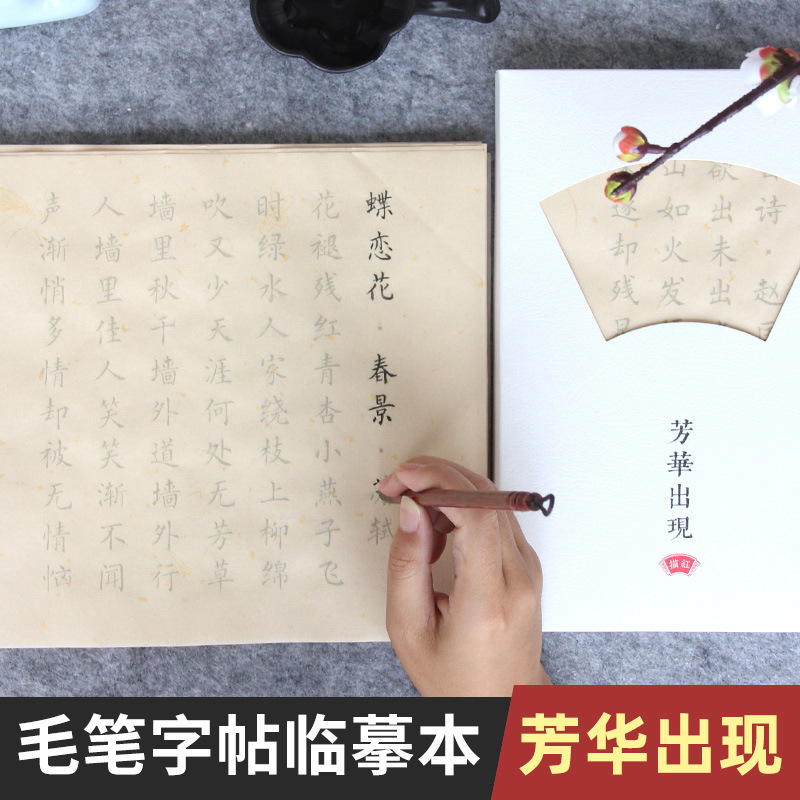 Calligraphy practice book set for copying and tracing, featuring small regular script with floral decorations, suitable for beginners learning calligraphy, including handwritten Tang and Song Dynasty poems and Buddhist scriptures for calligraphy exercises.
