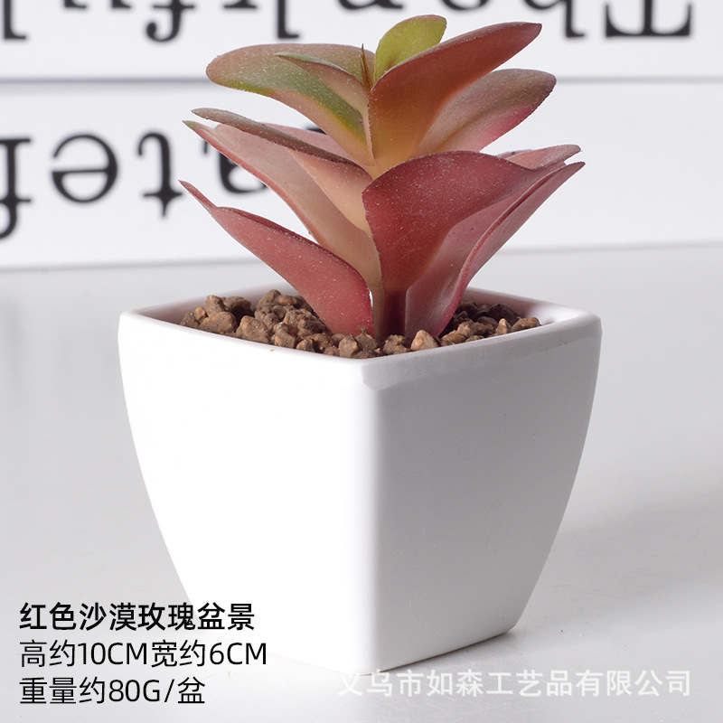 Simulación de plástico carnoso bonsai flor falsa combinación oficina interior escritorio plantas verdes pequeños adornos plantas artificiales al por mayor image 19