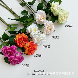 �����Ʒ�|�¼� õ���������OӋ �߶˼Ҿӷ��滨 �Ӱ��g ���Ҽٻ�