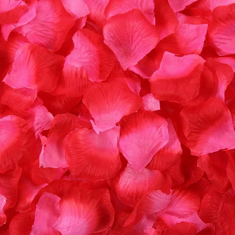 Face blush, gradient, 100 pieces