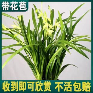 �������m���硿���m���F�m���ļ��m�_���M���h�����B�҃ȾGֲ����