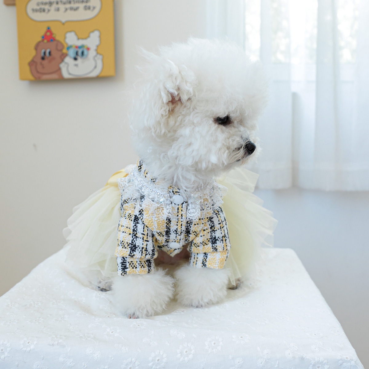 공장 직접 공급 | 재고 새로운 애완 동물 옷 개 고양이 의류 귀여운 매력 공주 웨딩 원피스