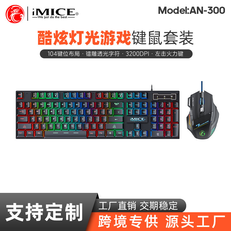 Factory wholesale iMICE wired game keyboard suspension key cap rainbow backlit keyboard mouse suit AN-300