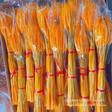 天然麦穗干花大麦花束花店花篮麦子小麦客厅摆设装饰批发摆件