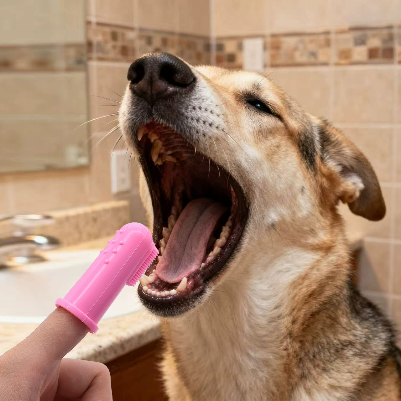 Щенок Зубная щетка Собака чистить зубы Силиконовая пальцовая кошачья зубная щетка Чистая зубы Домашнее животное Очистка полости рта кошачья зубная щетка