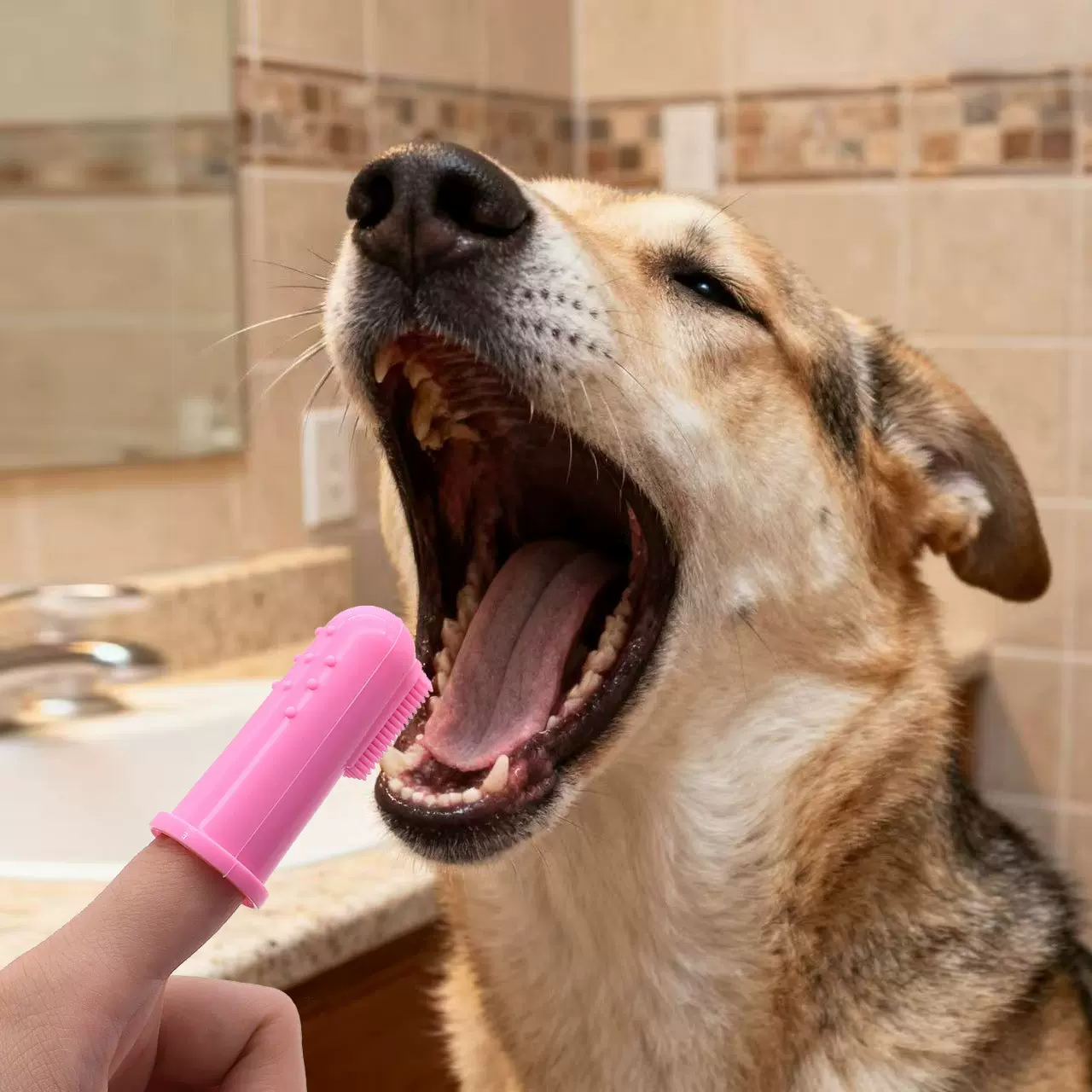 小狗牙刷狗狗刷牙洁齿硅胶手指套猫咪牙刷洁牙宠物口腔清洁猫牙刷
