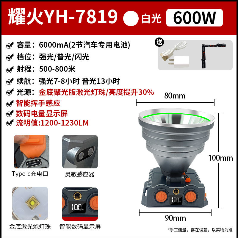 New model/induction yh-7819/600w/gold bottom concentrated light version/power screen