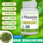 跨境膳食热卖茶氨酸提取物