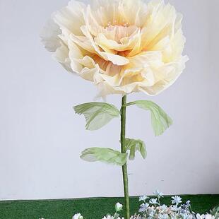 �����_�ϻ�늄әCе���ӵĻ��ԄӸБ���z���b[��������������