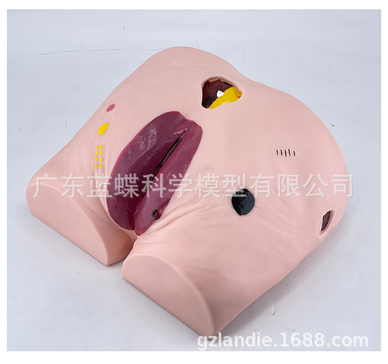详情_13
