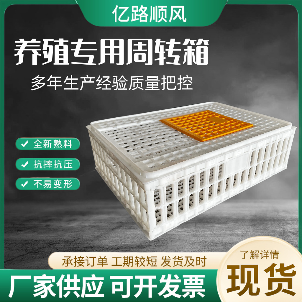 Los fabricantes suministran jaulas de plástico para pollos gruesos, pollos, patos, gansos, palomas y conejos.