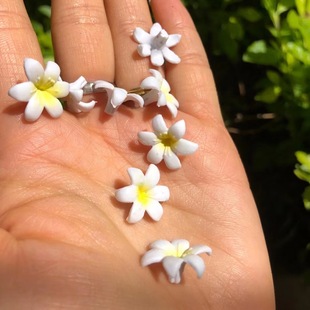 Flowers, Small Bulk Toys, Blind Box Accessories, Handmade Materials