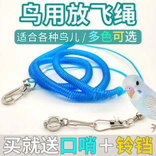 ���w�K�_��_�h��Ƥĵ�����L�˸��w���K���P�Ӗ���B朠����K