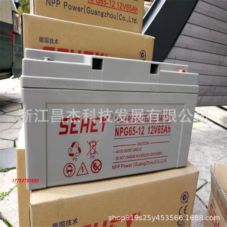 SEHEY西力蓄电池NPG65-12,12V65AH 机房UPS/EPS直流屏后备电源