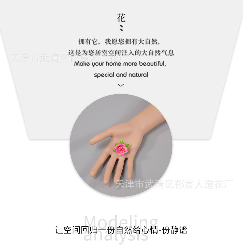 Details_05.png