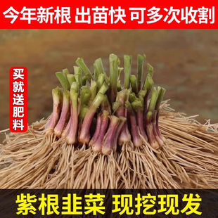 �²˸���F�ھ²˸��N�ļ����~�̨�²˸����r�²˸�ͥԺ�̨����