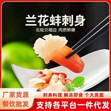日料刺身兰花蚌北极贝裙边冰山蚌火锅刺身海鲜食材北极贝裙边批发