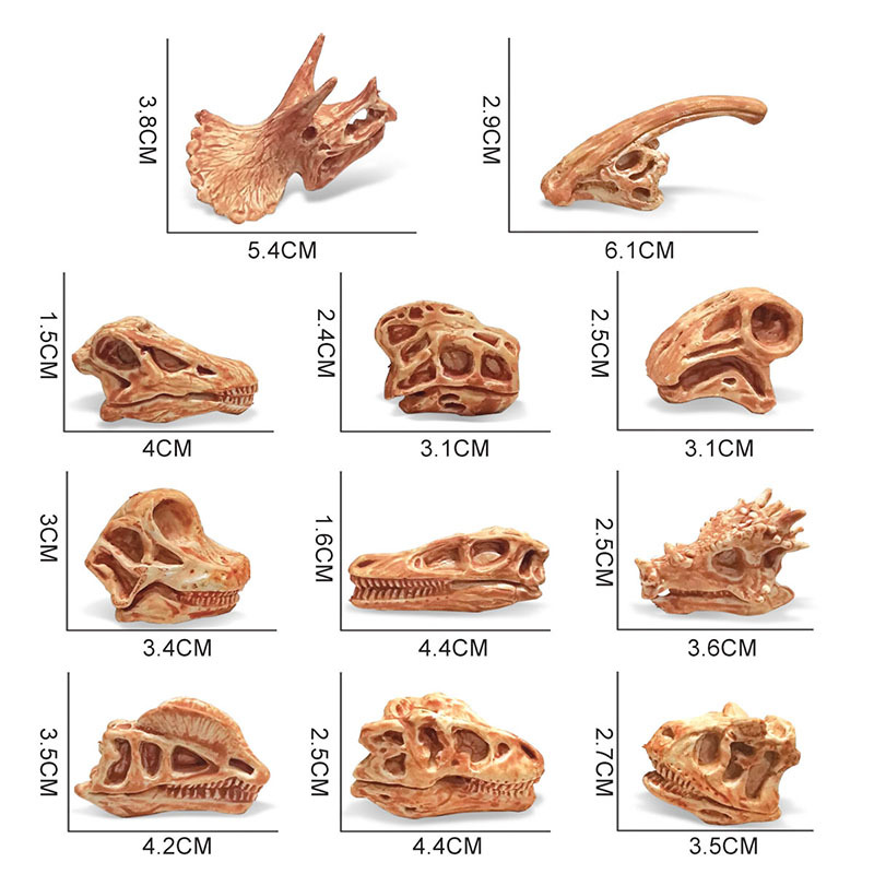 Simulación transfronteriza dinosaurio Jurásico cráneo decoración niños arqueología cognitiva dinosaurio cráneo fósil modelo juguete