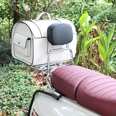 Backrest Tail Rack Trunk – Motorcycle bumper