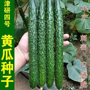 LSSϷNӴ߮aˮSϷNݴˈ@̨