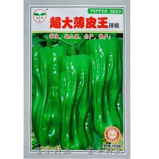 ����Ƥ�����N�ӻ�Ƥ�������ڸ߮a�����Ƥ����Ƥ�ཷ�ݽ��N��