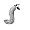 Gray tail