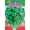 Changfeng Four Seasons Speed raw coriander seeds Big leaves flavor, thick seed seeds, dark green, soft tender coriander seed seed manufacturers wholesale