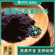 蓝莓花青素25%蓝莓提取物花青素水溶蓝莓粉厂家食品级蓝莓花青素