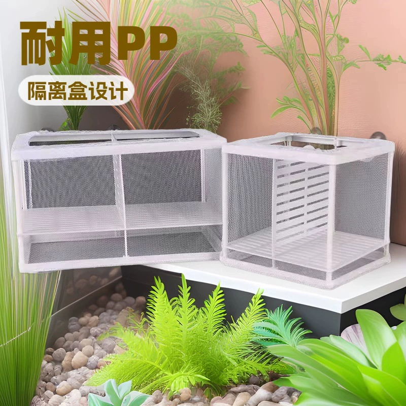 Изоляционная коробка для аквариума Изолирующая сетка для аквариума Инкубационная коробка для разведения рыбы Фрай Нестовая инкубационная комната Независимая коробка Инкубационная коробка