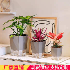 懒人自吸水塑料花盆大号简约免浇水陶盆绿萝多肉兰花水培花盆批发