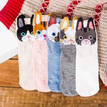 �m��Ů��ͲȤζ؈�乷�D��Ůʿ�m�羳���m���e�����LͲ�m�}�Q�Y��