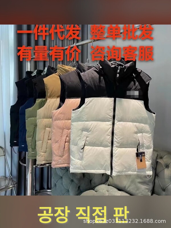 Putian Beijia North Face 1996 down Jacket Vest Similar Style American Version Tnf700 Puffy Embroidered Cold-Proof Vest