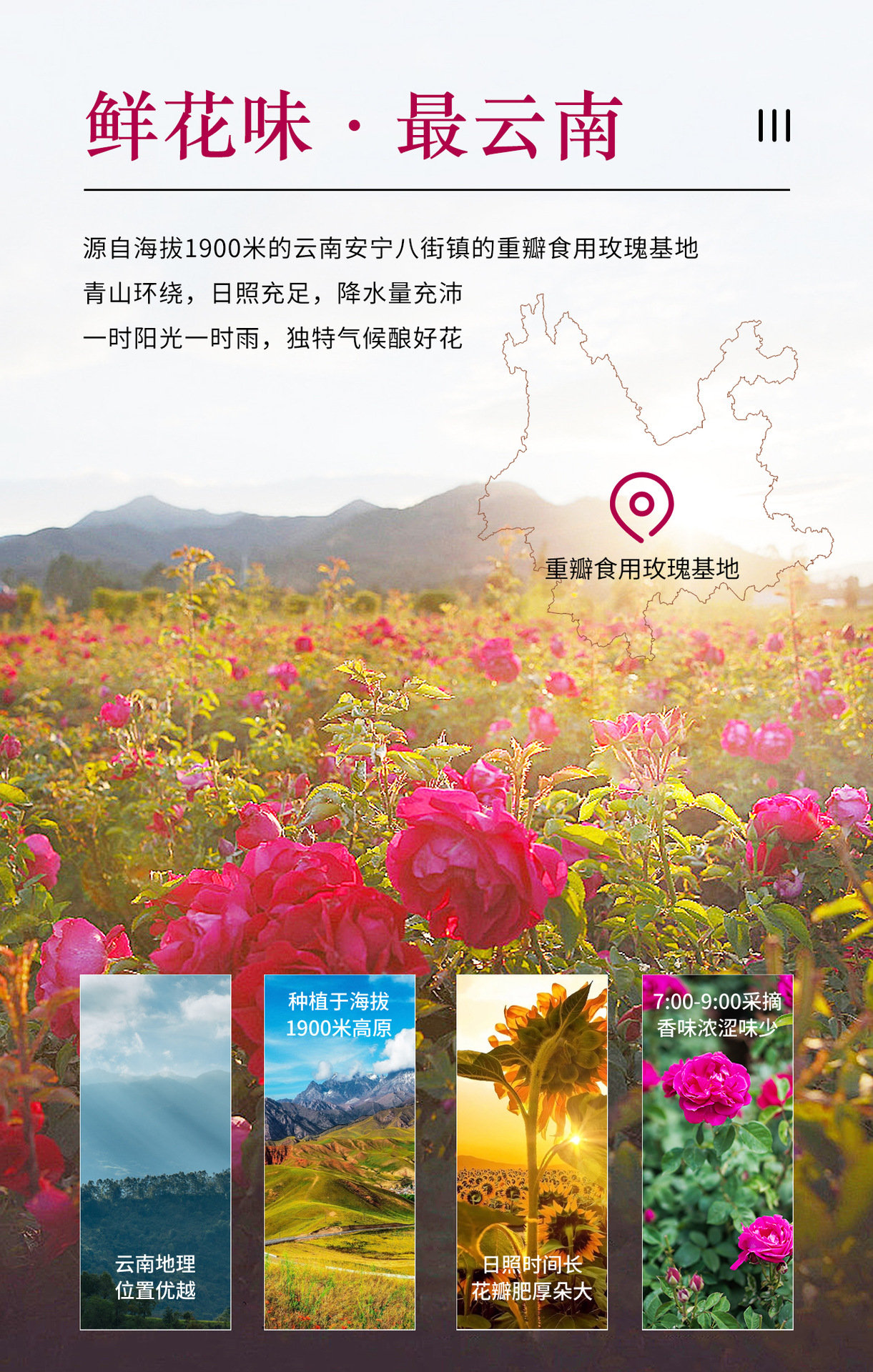 鲜花饼详情页-04